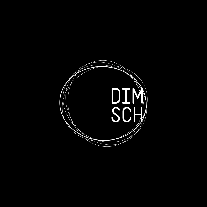 Vorentwurf Logo Dimitrij Schmunk - Motion Design & Direction